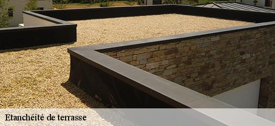 Etanchéité de terrasse  01800