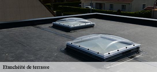 Etanchéité de terrasse  01090