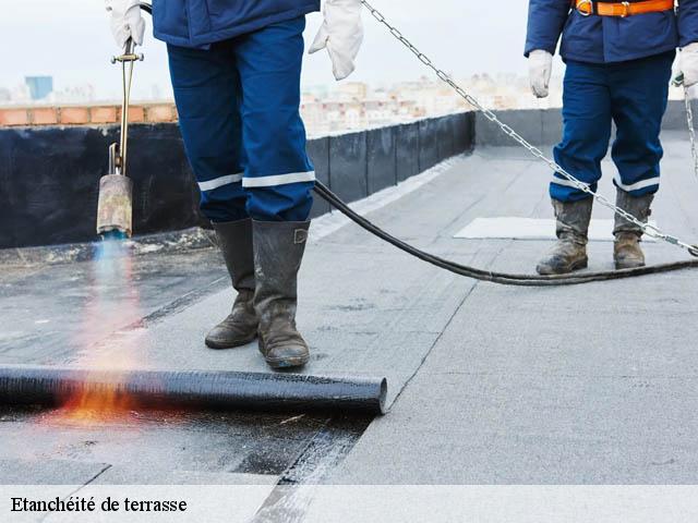 Etanchéité de terrasse  01400