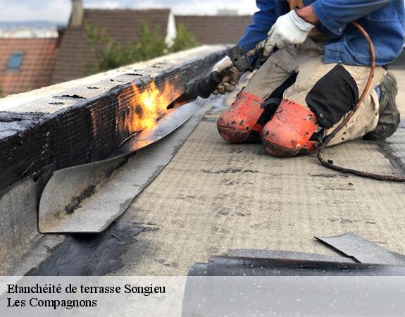 Etanchéité de terrasse  songieu-01260 Les Compagnons 