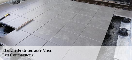 Etanchéité de terrasse  01260