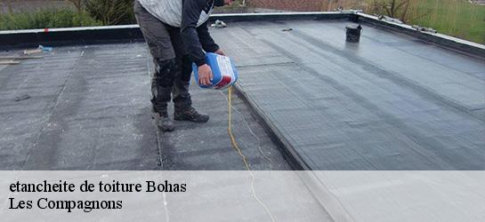 etancheite de toiture 01250
