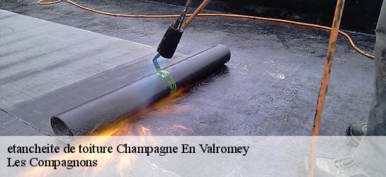 etancheite de toiture 01260