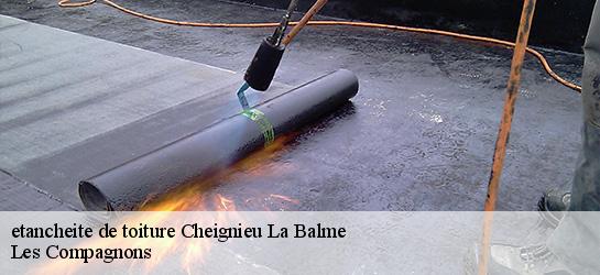 etancheite de toiture 01510