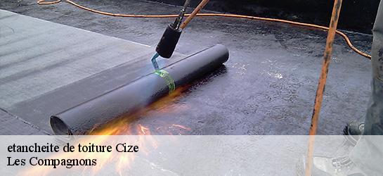 etancheite de toiture  01250