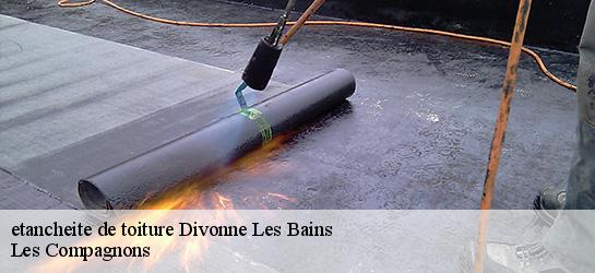 etancheite de toiture  01220