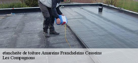 etancheite de toiture  01090
