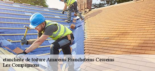 etancheite de toiture  01090