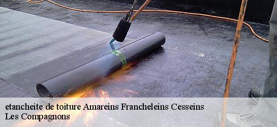 etancheite de toiture  01090