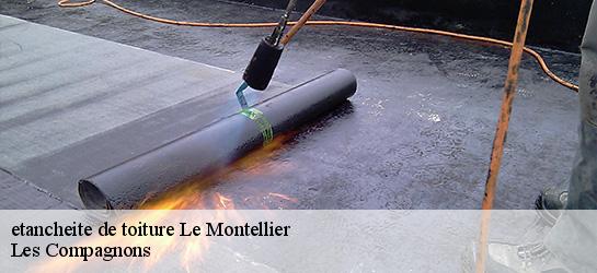 etancheite de toiture  01800