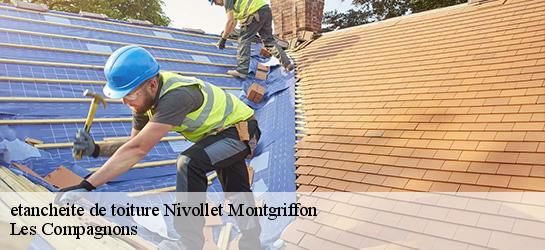 etancheite de toiture 01230