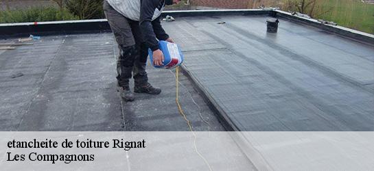 etancheite de toiture  01250