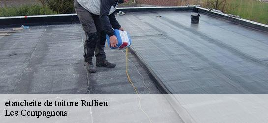 etancheite de toiture  01260