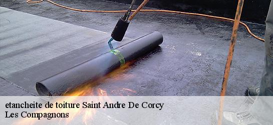 etancheite de toiture 01390