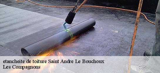 etancheite de toiture  01240