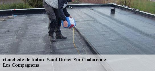 etancheite de toiture  01140