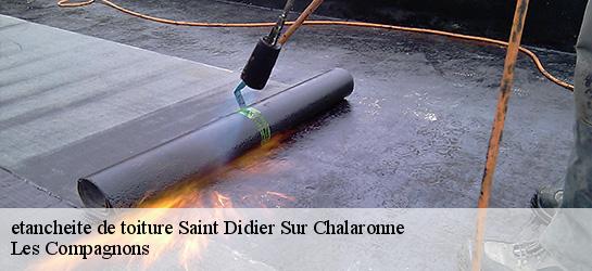 etancheite de toiture  01140