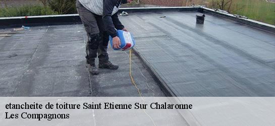 etancheite de toiture  01140