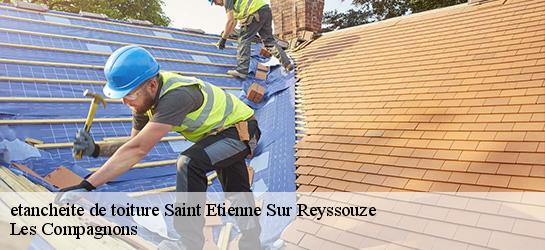 etancheite de toiture  01190