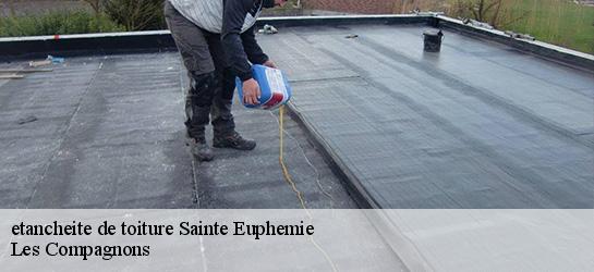 etancheite de toiture  01600