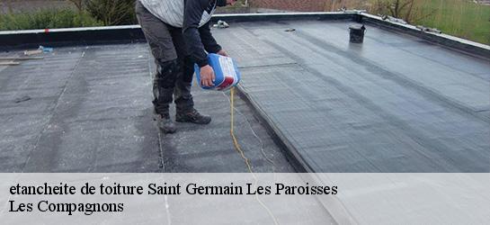 etancheite de toiture  01300