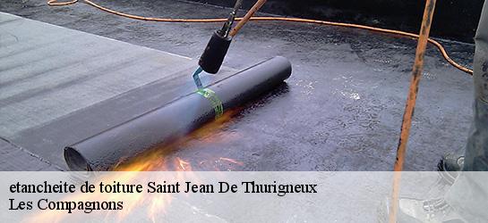 etancheite de toiture 01390