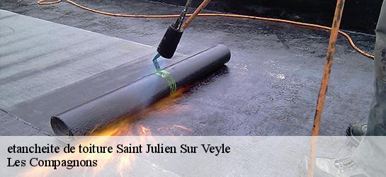 etancheite de toiture  01540