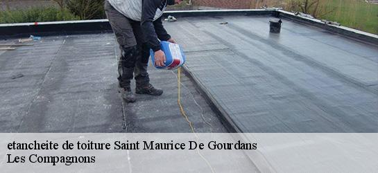 etancheite de toiture 01800