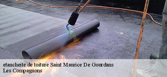 etancheite de toiture 01800