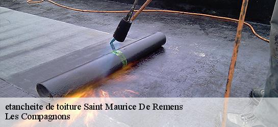 etancheite de toiture 01500