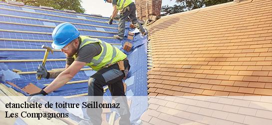 etancheite de toiture 01470
