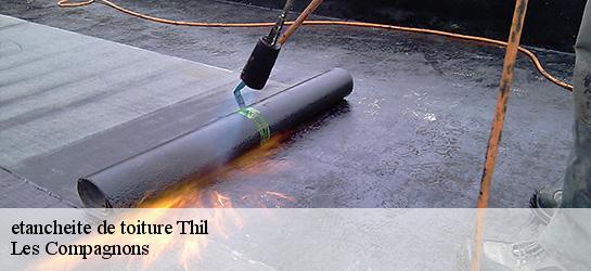 etancheite de toiture  01120