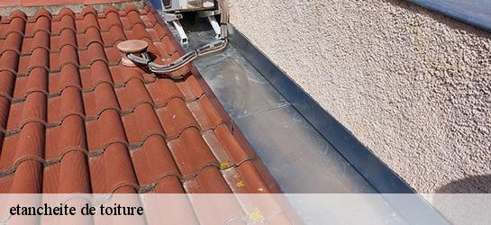 etancheite de toiture  01710