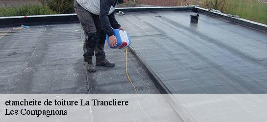 etancheite de toiture  01160