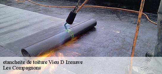 etancheite de toiture  01430