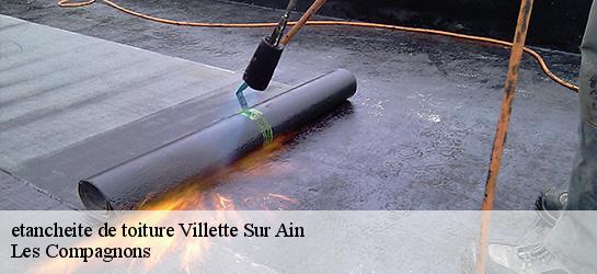 etancheite de toiture  01320