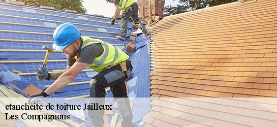 etancheite de toiture 01120