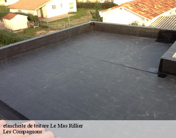 etancheite de toiture  le-mas-rillier-01700 Les Compagnons 