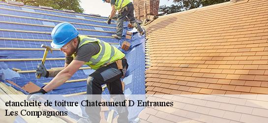 etancheite de toiture 06470