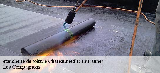 etancheite de toiture 06470