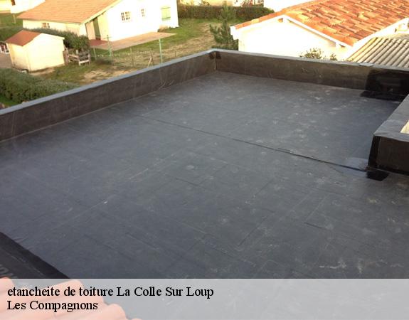 etancheite de toiture  la-colle-sur-loup-06480 Les Compagnons 