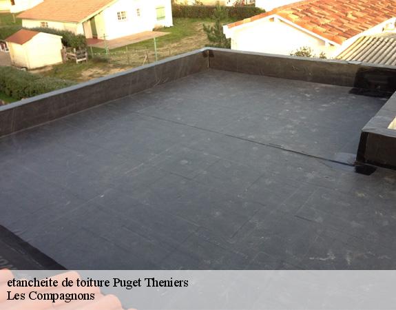 etancheite de toiture  puget-theniers-06260 Les Compagnons 