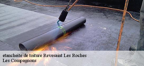 etancheite de toiture 06830