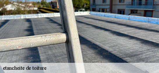 etancheite de toiture 06730