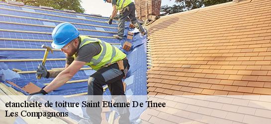 etancheite de toiture  06660