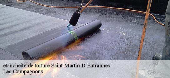 etancheite de toiture  06470