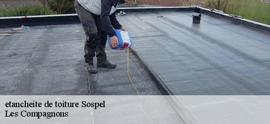 etancheite de toiture  06380