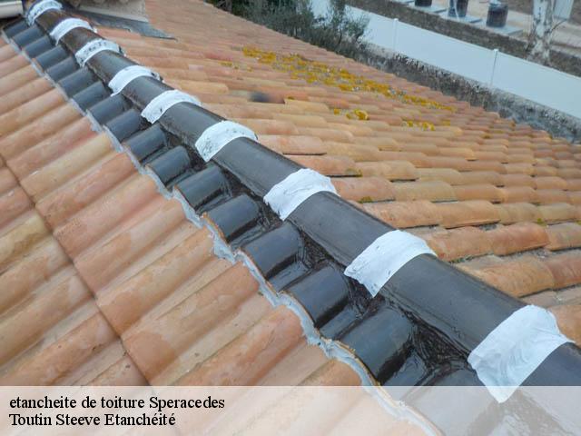 etancheite de toiture  06530