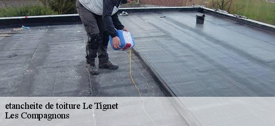 etancheite de toiture 06530