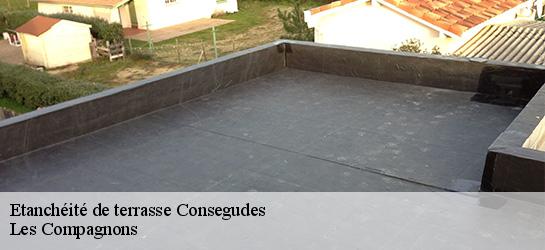 Etanchéité de terrasse 06510